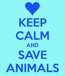 keep-calm-and-save-animals-6